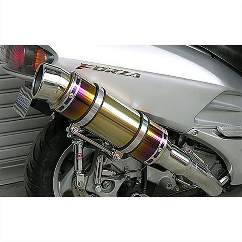 バイクパーツ マフラーウイルズウィン ビーストマフラー タイプS/焼色212-11-10 4547424479808FORZA(MF06)