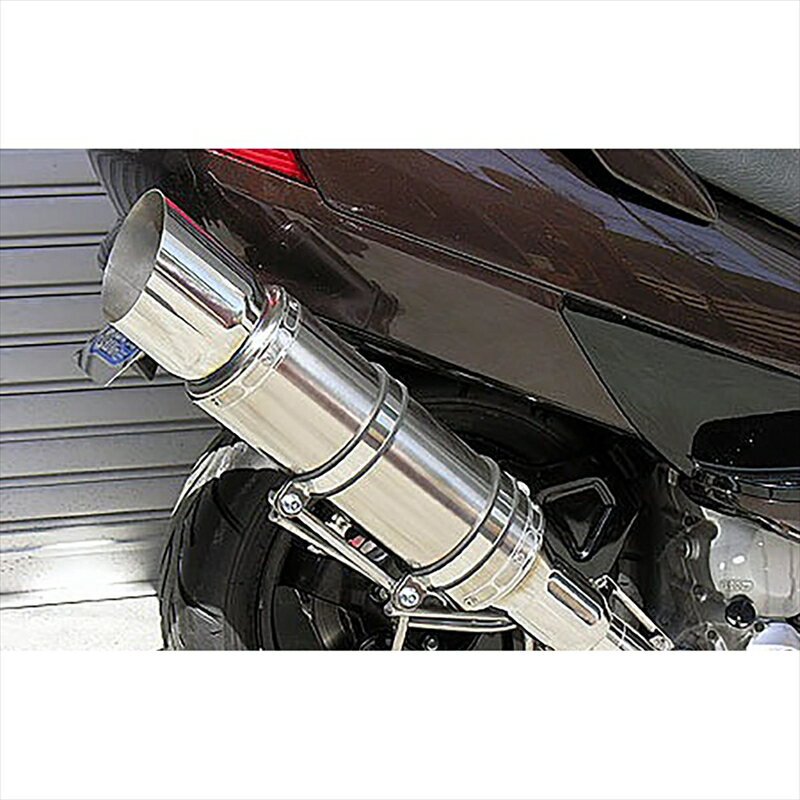 バイクパーツ マフラーウイルズウィン ビーストマフラー タイプE/POL322-11-11 4547424582638SKYWAVE250(CJ43)