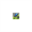 バイクパーツ 外装マジカルレーシング カーボントリムスクリーン スーパーコート 001-ZX1004-040S 4547424413284ZX10R 04