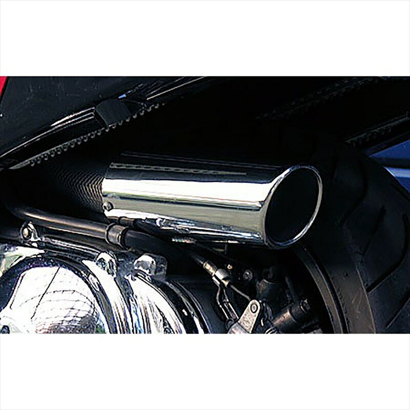 バイクパーツ ウイルズウィン キャリパータイプエアクリーナー324-03-01 4547424358615SKYWAVE250(CJ43)