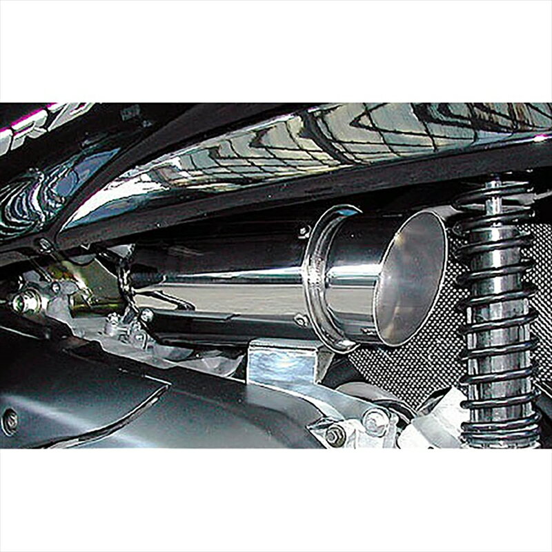 バイクパーツ ウイルズウィン サイレンサー型エアクリーナー/ポッパー 224-01-02 4547424428257FORZA(MF08)