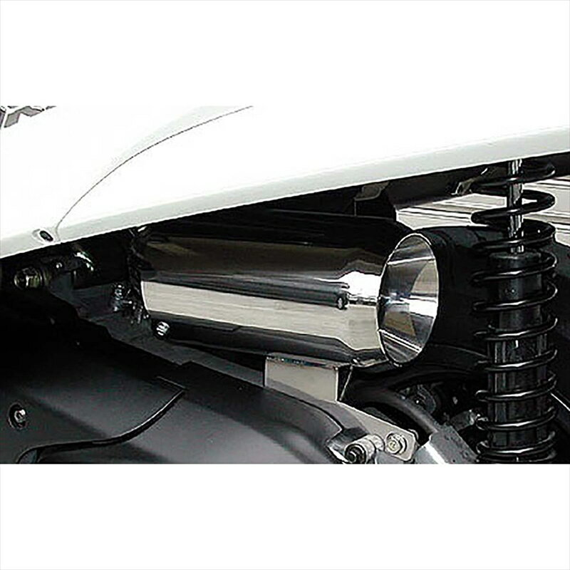 バイクパーツ ウイルズウィン サイレンサー型エアクリーナー/ジェット 224-01-03 4547567325260FORZA(MF08)