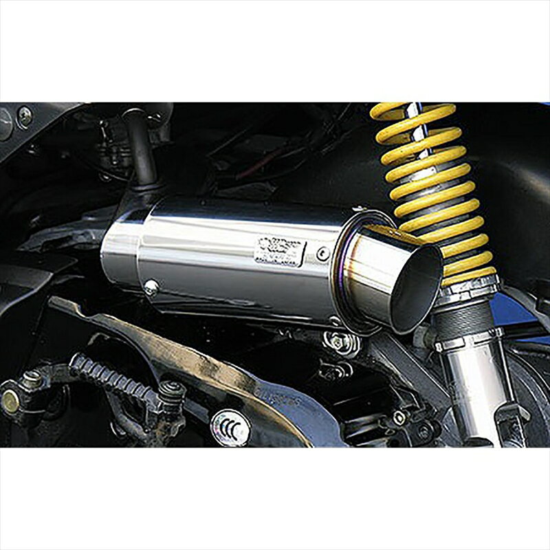 バイクパーツ ウイルズウィン サイレンサー型エアクリーナー/スポーツ 164-01-14 4547567516071CYGNUS Z