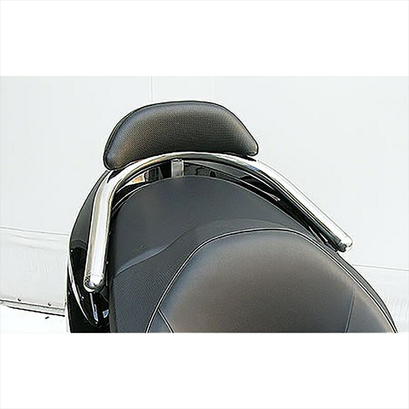 バイクパーツ 外装ウイルズウィン Bレスト付タンデムバー BRY/38/L 243-02-11 4547567579335FORZA(MF10)