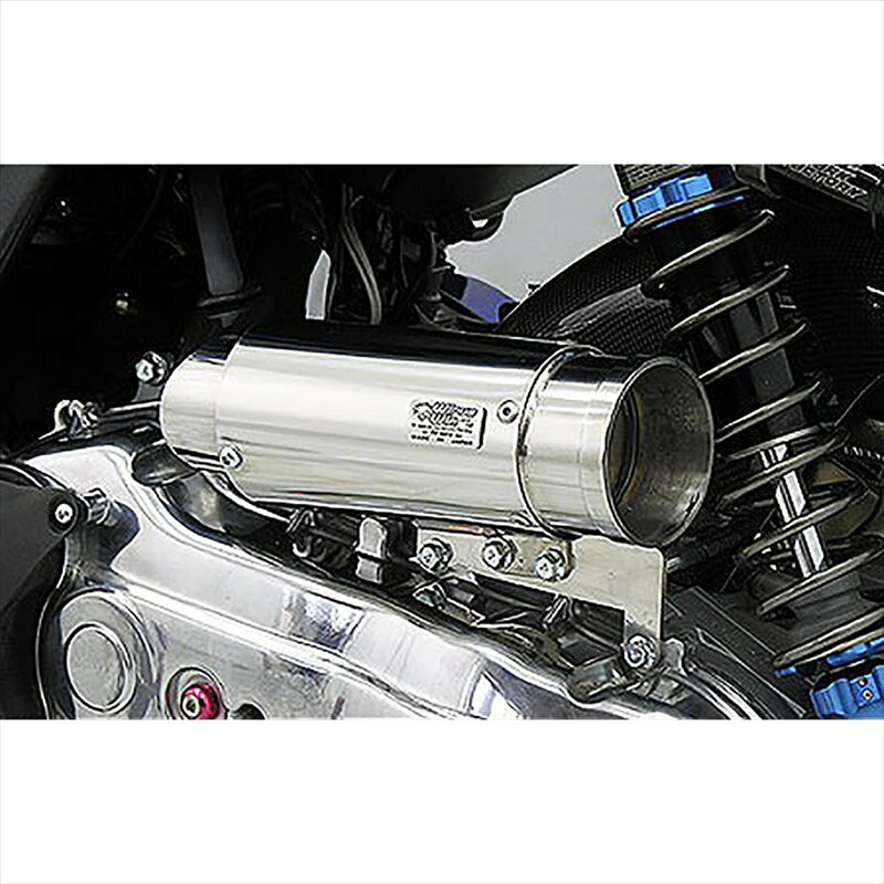バイクパーツ ウイルズウィン サイレンサー型エアクリーナー/バズーカー 184-01-01 4547567717768BWS125