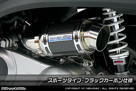 バイク用品 吸気系＆エンジン エアークリーナー＆エアファンネルウイルズウィン WirusWin サイレンサー型エアクリーナー スポーツ BLKカーボン MP3 250RL434-01-13 4548664055784取寄品