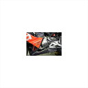 バイクパーツ 外装エーテック ジェネレーターカバー クリアー塗装 DC AP6745-L 4524446151714aprilia RS660 21-