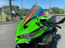 外装 スクリーン ミラー ZX-25R 20140283 4580423292047取寄品