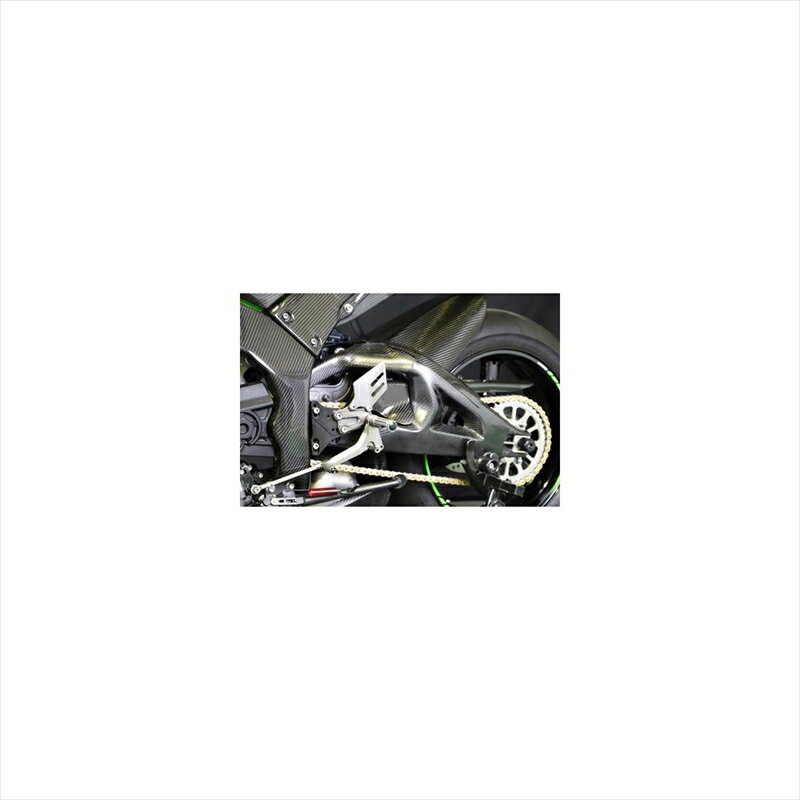 バイクパーツ 外装エーテック スイングアームカバー L側のみ DCKK11725-CK-L 4524446158751ZX-10R 21-