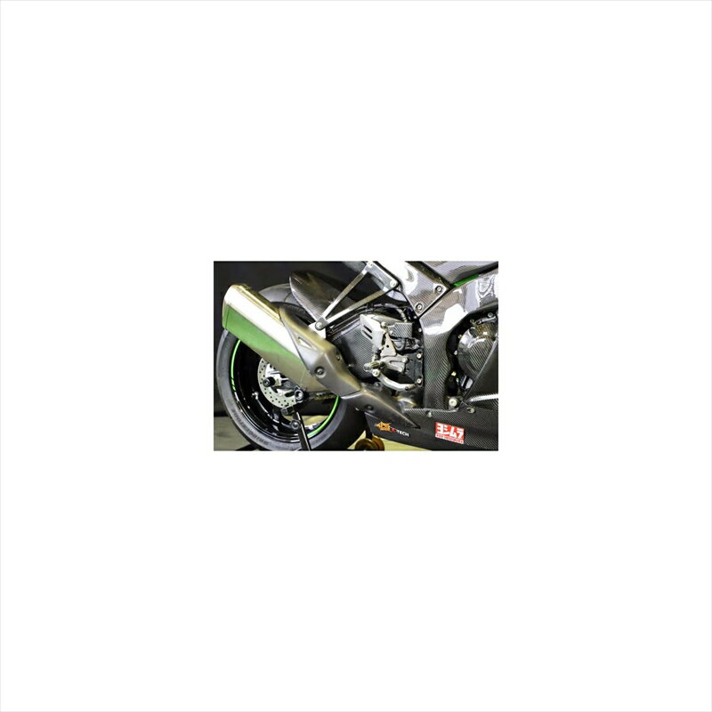 バイクパーツ 外装エーテック スイングアームカバー R側のみ DCKK11725-CK-R 4524446158768ZX-10R 21-