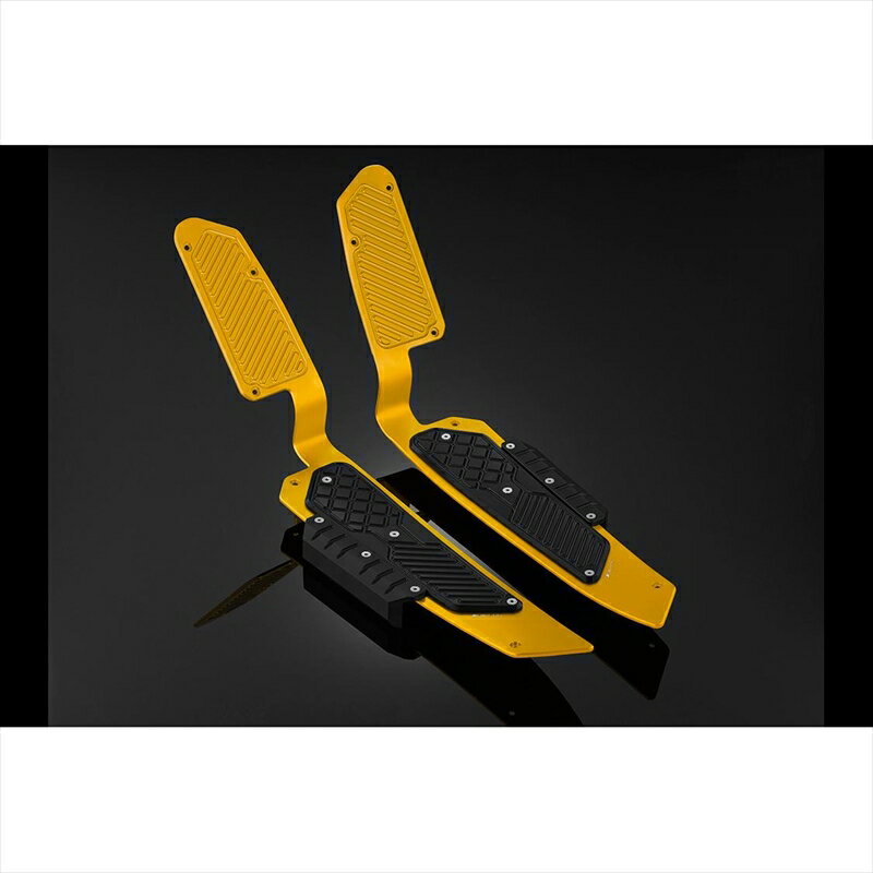 バイクパーツBIKERS(バイカーズ) フットプレート ライトゴールド/ブラック H0546-LGD-BLK4550255820909FORZA 18-24