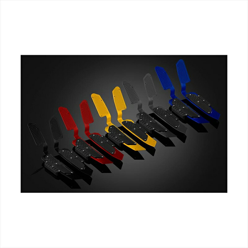 バイクパーツBIKERS(バイカーズ) フットプレート シルバー/ブラック H0546-SLV-BLK4550255821005FORZA 18-24