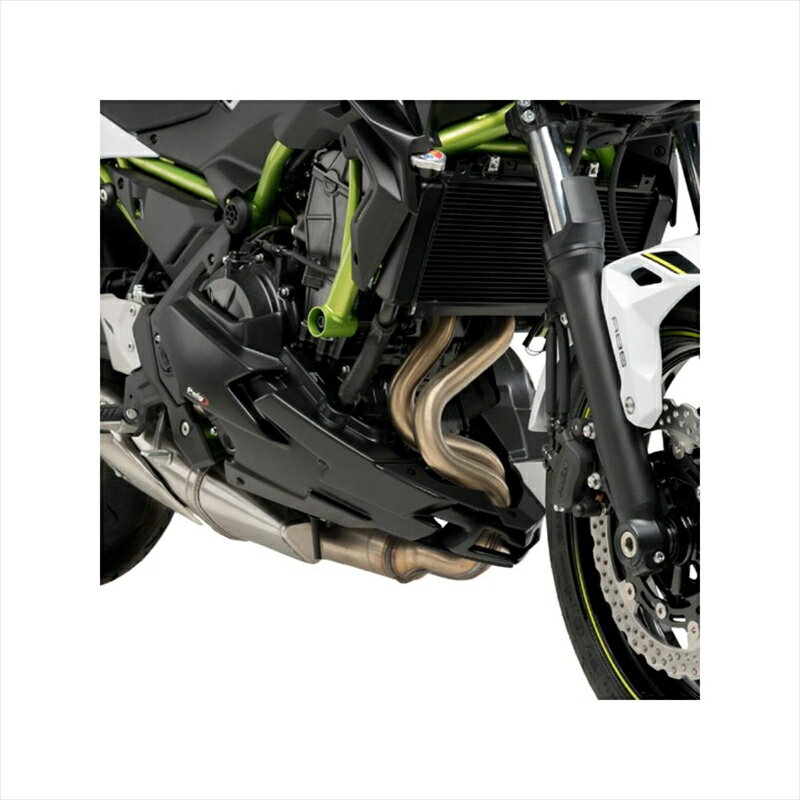 バイクパーツ 外装プーチ エンジンスポイラー マッドブラック 20295J 4571414950503Z650 20-