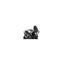 バイクパーツ 外装プーチ ニュージェネNKスクリーンSPORTカーボンP9668C 4549950917854790DUKE 18-