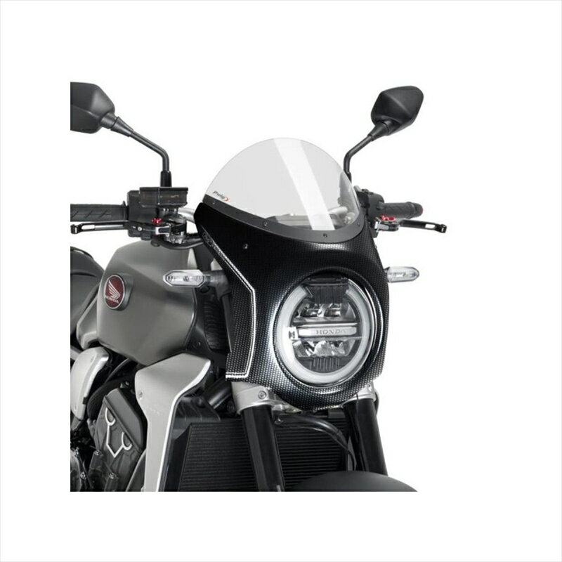 バイクパーツ 外装プーチ レトロフェアリング クリア/カーボンプリント3143W 4550255190057CB1000R 18-..