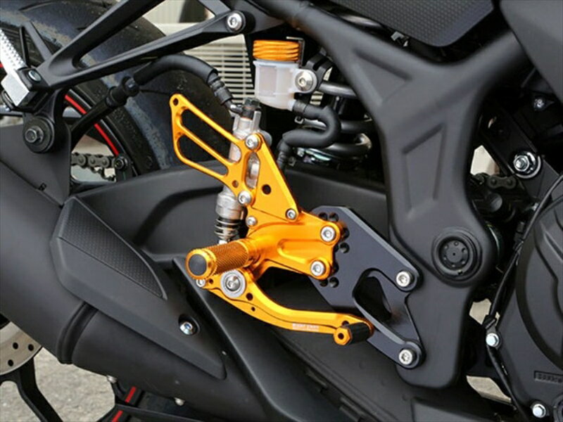 【BABYFACE(ベビーフェイス)】ベビーフェイス レースコンセプトステップキット Ver15 GLD YZF-R25 15-16■カタログ品番：P063-4451■メーカー品番：R02-Y002GD■JAN：4589981522283適応車両：GLD YZF-R25 15-16 色： ベースプレート:ブラック ステッププレート:ゴールド キャッチフレーズ ： クローズドコース使用に特化したステップキットです。ポジションは7カ所可変で、速く走るための位置を選んでいただけます。カラーはベースプレートが黒で、ステッププレートは、ブラック、ゴールド、シルバーの3色をご用意いたしております。シフトパターンは正、逆が選択可能です。（レース専用品のため、ブレーキランプスイッチやABSには対応しておりません） ◆クローズドコース使用に特化したステップキットです ◆ポジションは7カ所可変で、速く走るための位置を選んでいただけます ◆カラー：ゴールド ◆シフトパターンは正、逆が選択可能です ※レース専用品のため、ブレーキランプスイッチやABSには対応しておりません 画像注意書き ：※両ペダルの軸受けには、ベアリングをダブルで組み込んでいます ※ペダル先端バーのポジションが変更可能です ※シフトパターンは正、逆が選択出来ます ※ステップバーにはノンスリップ性に優れた切削ロレット加工が施されています ※画像はイメージです ■商品分類：バイクパーツ、オートバイパーツ（モーターサイクル） ■カテゴリ：車、バイク、自転車 ＞ バイク ＞ ステップ、ペダル ＞ ステップ ■対象：男性(メンズ)、女性(レディース) ■キーワード：ツーリング(ロングツーリング)、通勤、通学 ※号機番号と適応車種を必ずご確認のうえ、ご注文くださいますようお願い致します。ご不明点等は、ご注文前にお問合せください。 ※掲載商品と実際の商品との色合いが異なる場合がございます。ご了承の程、宜しくお願い致します。 ※商品は予告なく仕様の変更や販売を終了している場合がございますので予めご了承下さい。 ※画像は装着画像や塗装済みのイメージ画像の場合がございます。 ※画像に含まれる、小道具等は商品には含まれておりません。 ※画像は装着イメージです。車両本体は商品に含まれておりません。