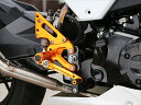 ステップ ベビーフェイス ベビーフェイス レースステップキット GROM 16 R02-H007GD 4589981522856 取寄品