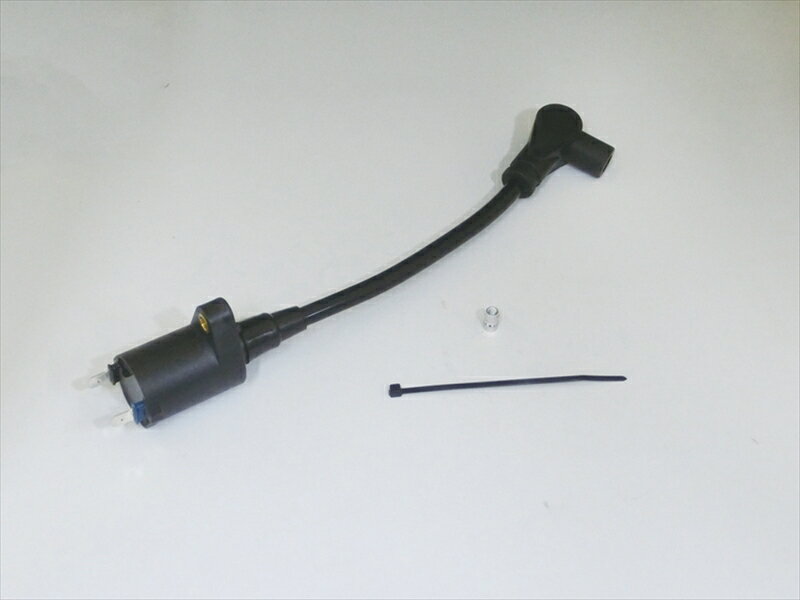 電装系 シーエフポッシュ CF-POSH IGコイル黒＋プロツインコード黒 NSF100 615011-09 4947934075338 取寄品