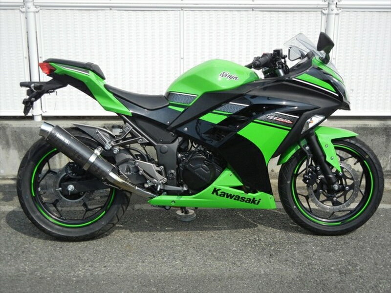 マフラー ダブルアールズ WR`S S O ラウンドカーボンサイレンサー Ninja250 ABS 13-17(JBK-EX250L) Z250 ABS 13-18(JBK-ER250C) BC4250JM 4548664912773 取寄品