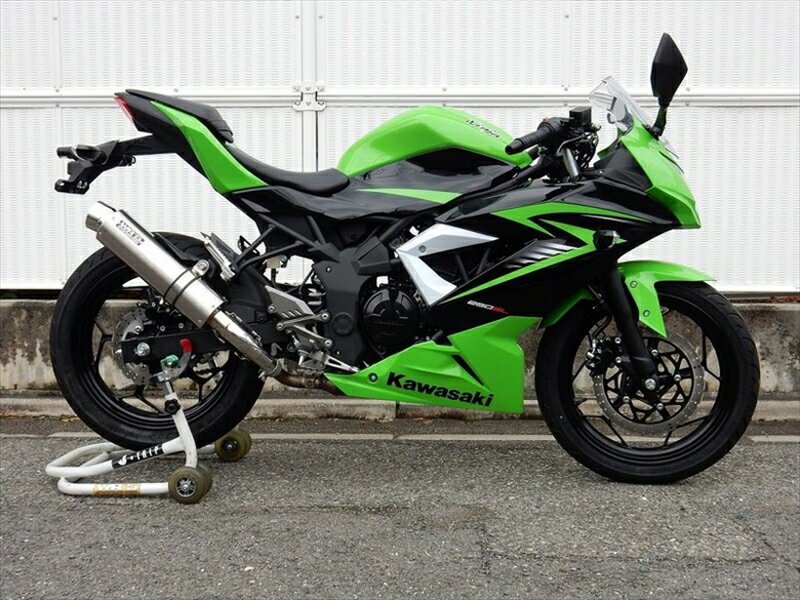 マフラー ダブルアールズ WR`S S O ラウンドソリッドチタンサイレンサー Ninja250SL ABS (JBK-BX250A) BT4260JM 4548916419968 取寄品