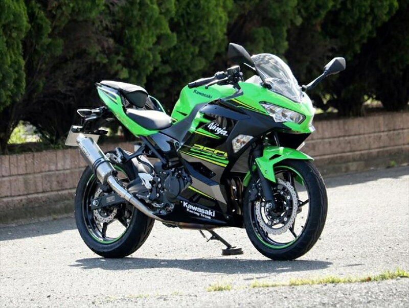 マフラー ダブルアールズ WR`S S O ST-OVAL ソリッドタイプ Ninja250 18-(2BK-EX250P) OV4270JM 4550255418908 取寄品