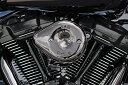 バイクパーツエスアンドエスサイクル S&S ステルス エアクリーナー ミニティアドロップ スモーキークローム Lava Chrome ステルス用カバーノミ170-0780 4550255906702