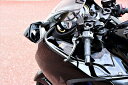 外装 ストライカー SAD カーボンメーターサイドフラップ HAYABUSA 22 SAD-MSF159C 4580363935288 取寄品
