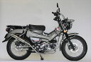 マフラー リアライズレーシング エンプレス SUS ダウン CT125 2BJ-JA55/8BJ-JA65 409-101-00 4550255985578 取...