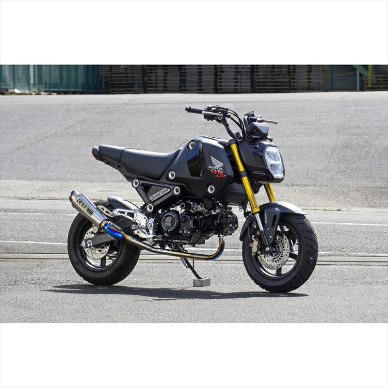 Хѡ ޥե顼졼 GP-PERFORMANCE ե RS-R13-223-21R 453977012194...