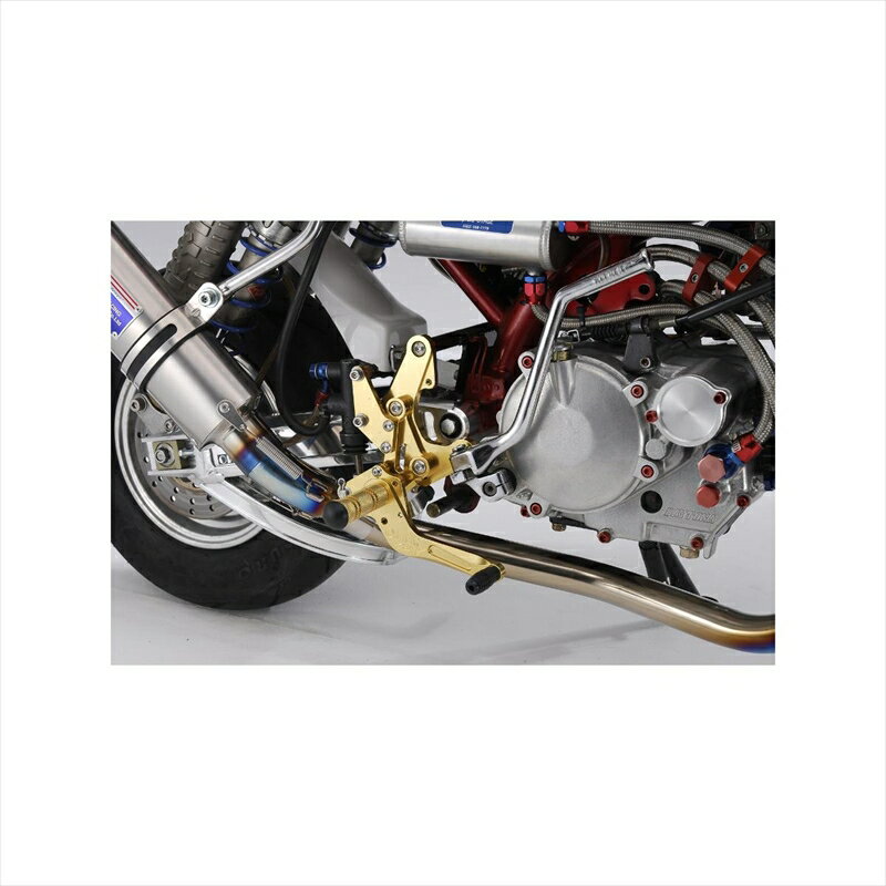 バイクパーツ ステップオーヴァーレーシング バックステップ 4POS/GLD51-01-12G 4539770086977MONKEY(ディスク)