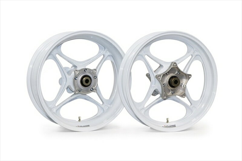 バイクパーツ ホイール リム ホイールハブ スポーク ゲイルスピード F 350-17 ソリッドWHT [TYPE-J] NINJA1000 11-19 ABS車含む 29570042SW 4538792945224