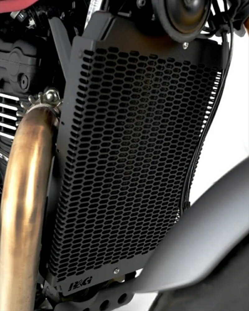 Хѡ 饸 ѷϥ륢ɥ PRO Radiator Guard:BLACK TRIUMPH Speed400 24- Scrambler400X 24- RG-RAD0346PROBK 4580779595458