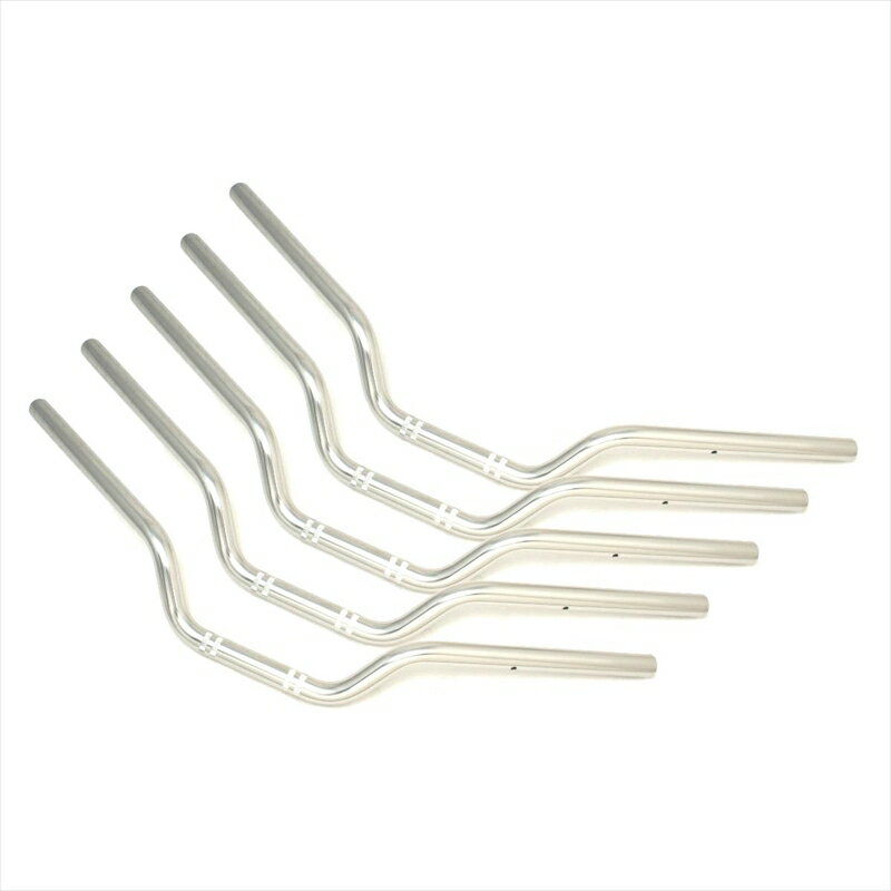 バイクパーツEFFEX(エフェックス) イージーフィットバーLow シルバー EBL301S-5SET4550255975937XJR1300 00-06 (5本セット品)