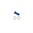 バイクパーツ スウェッジライン BANJOボルト BLU 10mm-1.25GRP300 4520616177713シングル