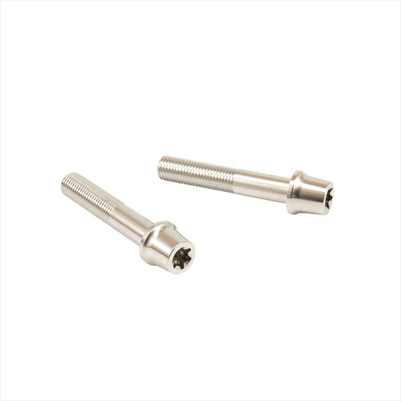 バイクパーツ プロトブレンボ ステンレスキャリパーマウントボルト ポリッシュCMBT-055P 455025569021255mm テーパーキャップ M10/P1.25 ヘクサロビュラ 2本入