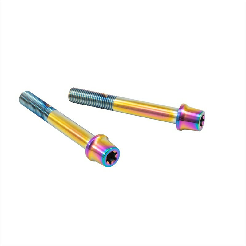 バイクパーツ プロトブレンボ ステンレスキャリパーマウントボルト チタン色CMBT-075T 455025569034275mm テーパーキャップ M10/P1.25 ヘクサロビュラ 2本入