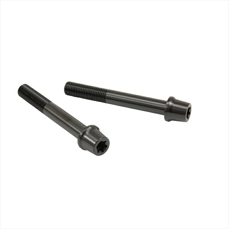 【5日前後で発送】バイクパーツ プロトブレンボ ステンレスキャリパーマウントボルト ブラックCMBT-085B 455025583248385mm テーパーキャップ M10/P1.25 ヘクサロビュラ 2本入