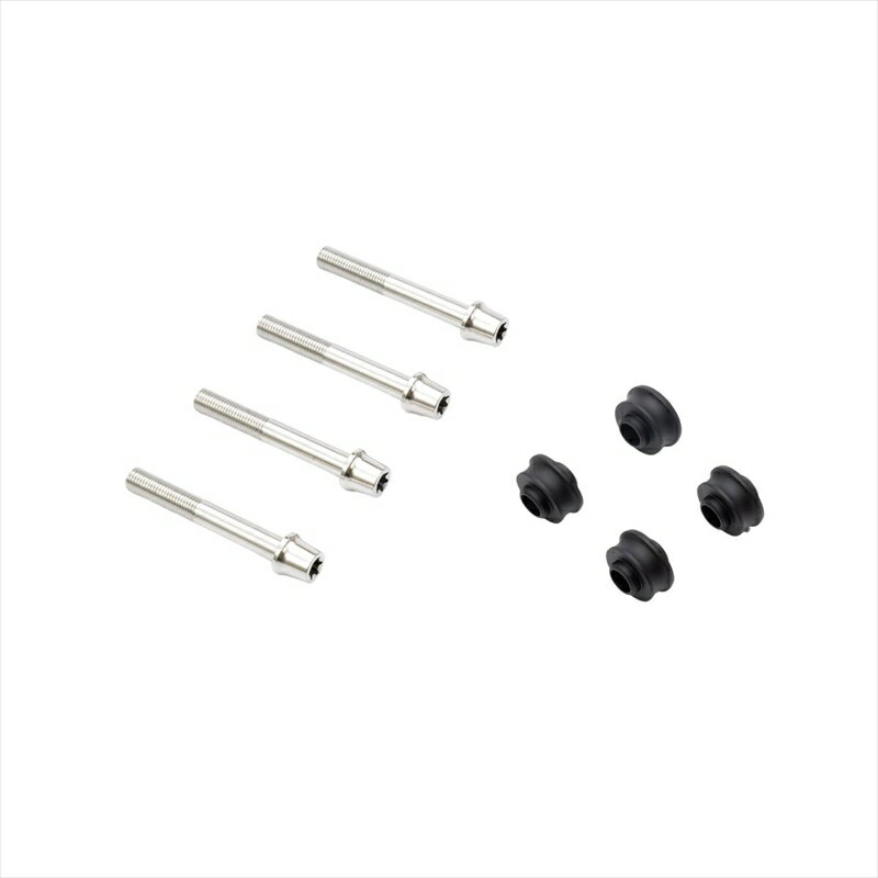 バイクパーツ プロトブレンボ オフセットカラーマウントボルトセット 適合キャリパーA テーパーキャップ ポリッシュCBY-06ATP 4550255943851YZF-R7 22－24 φ298（ノーマル）