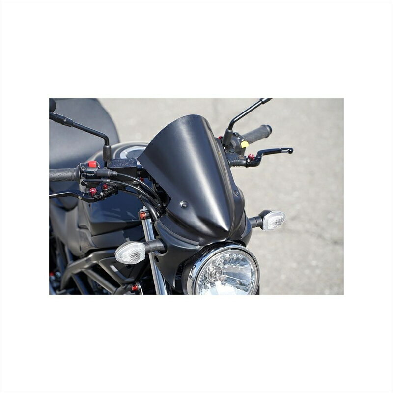 バイクパーツ 外装サイタニヤファクトリー バイザーカウル/黒ゲル ES0SV6FBC-B 4550255542665SV650 16-