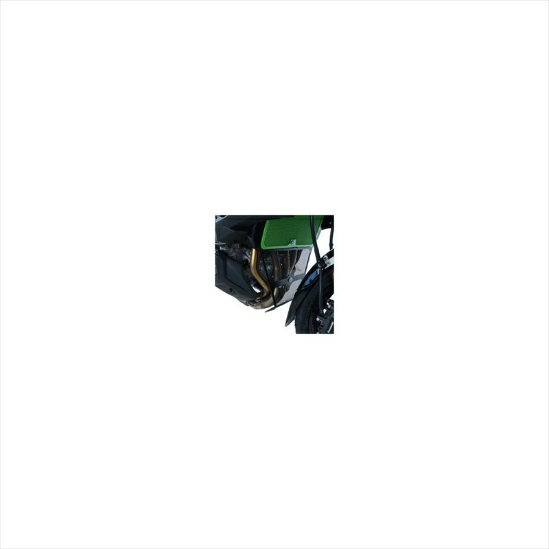 バイクパーツ 外装アールアンドジー ダウンパイプグリルガード ブラックRG-DG0032BK 4580041232968Versys1000 19-