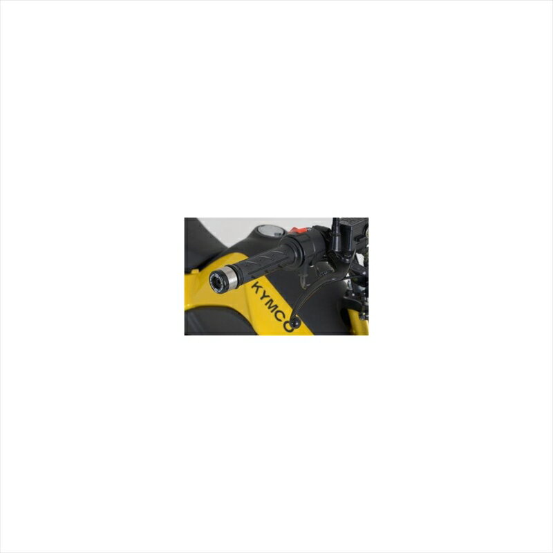 バイクパーツ ハンドルアールアンドジー バーエンドスライダー BLKRG-BE0069BK 4582483534211KYMCO 125 K-Pipe 13-