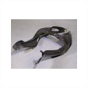 バイクパーツ 外装エーテック シートカウル左右 DC クリア塗装 MV101115 4524446061808MV AGUSTA F4 10-