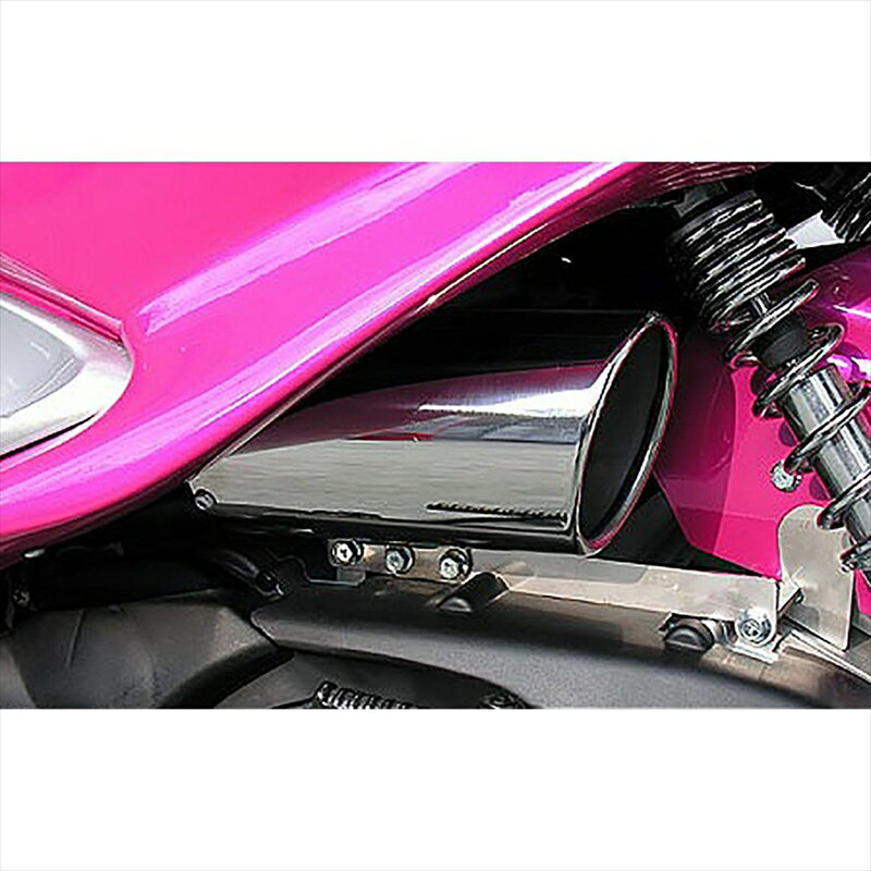 バイクパーツ ウイルズウィン キャリパータイプエアクリーナー 144-03-01 4547424696021MAJESTY125(キャブ)