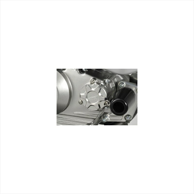 バイクパーツ アグラス オイルフィルターカバー ブルー357-481-001B 4548664130320D-TRACKER125