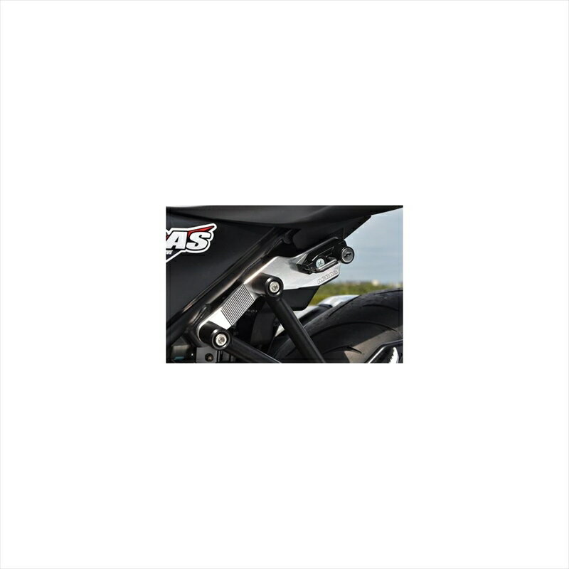 バイクパーツ ヘルメットアグラス ヘルメットホルダー SLV/メッキ 603-304-000SS 4549950501251SV650 A..