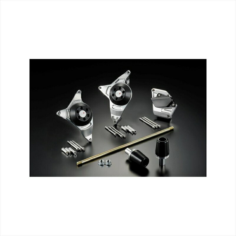 バイクパーツ 外装アグラス Rスライダー 5点セット φ50/白 342-396-007 4548664255320GLADIUS400