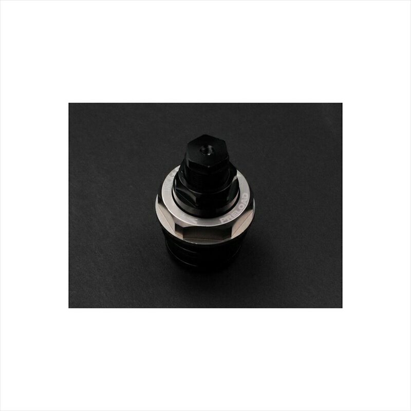 バイクパーツ トリックスター イニシャルアジャスター シャンパンGLD TS-IA-015D-SG 4560417397767Ninja250