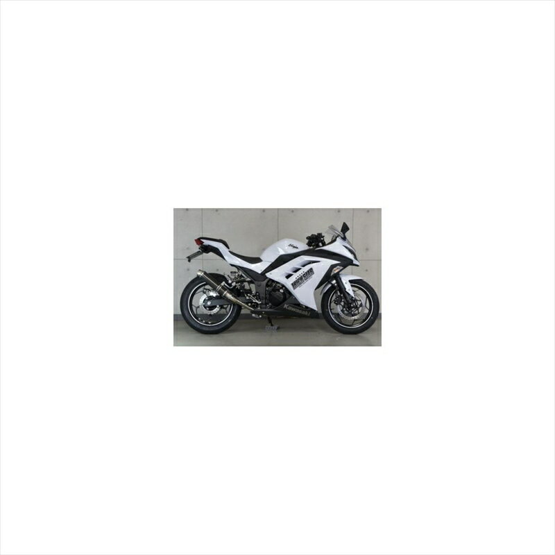 バイクパーツ マフラートリックスター レーシングS/O ショットガンカーボン RSS-015D-SCEGP 4560417391949GP-LOOK NINJA250 13-17