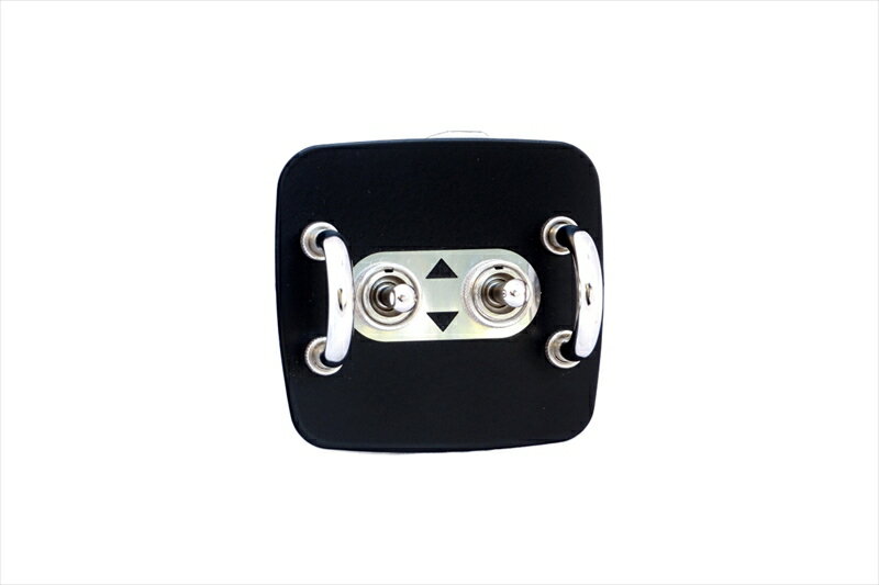 バイクパーツ 内装【クルマ】Jass Performance(ジャスパフォーマンス) パワーウインドウスイッチ ブラック21714550255771843