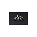 バイクパーツ メンテナンスアイエスエー フランジ6角ボルト チタン THF08025L 4548664586400(1本)M8X25 P1.25(2)